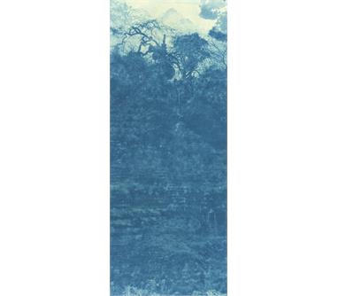 指点家山