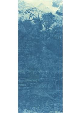 指点家山